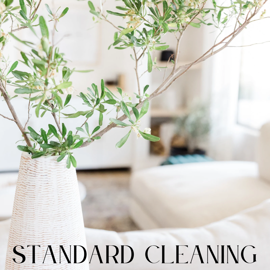 Standard Cleaning
