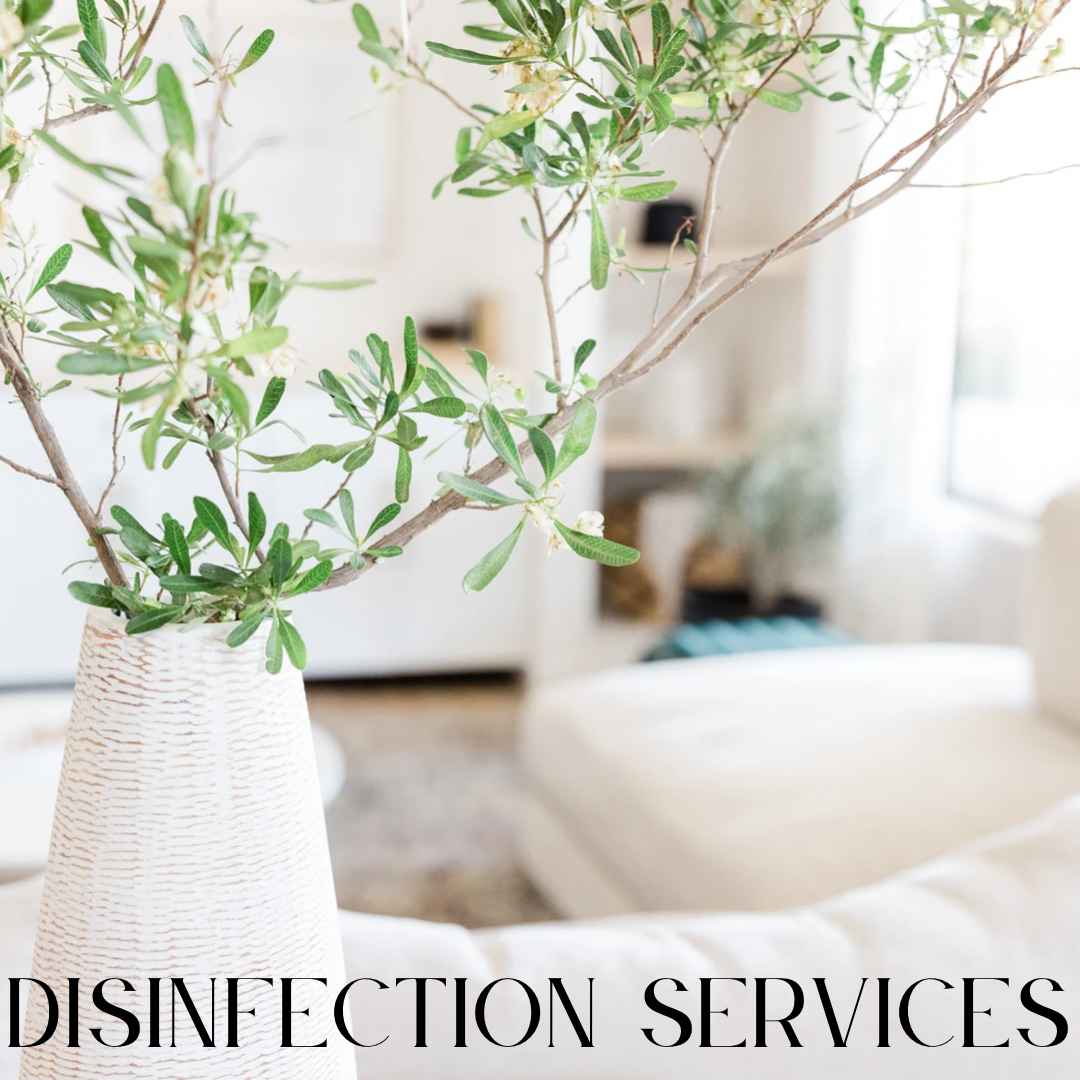 Disinfection Services