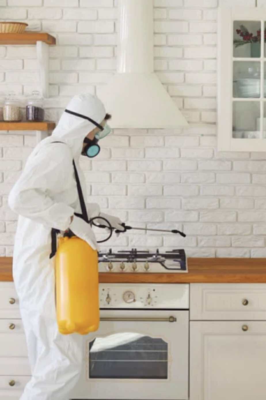 Disinfection Services